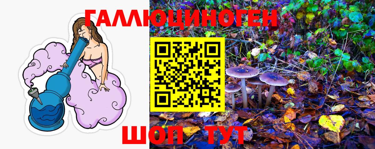 Псилоцибиновые грибы мухоморы Острогожск
