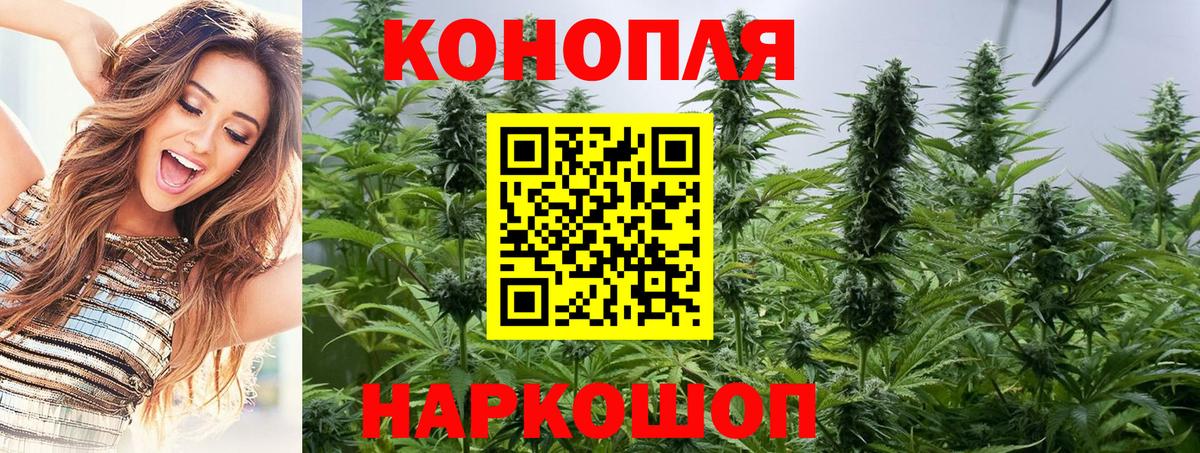 Конопля сатива  Вход с VPN  Канабис планчик  Острогожск  Конопля конопля 